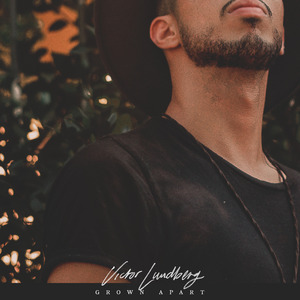 日本人真人性交做爱
