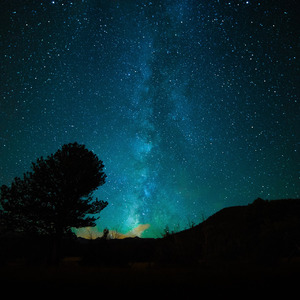 日本人真人性交做爱
